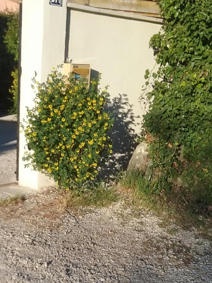 Une Chambre En Ville LʼIsle-sur-la-Sorgue Exteriör bild