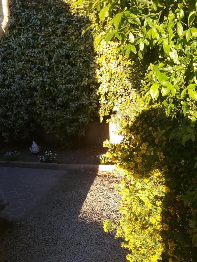 Une Chambre En Ville LʼIsle-sur-la-Sorgue Exteriör bild